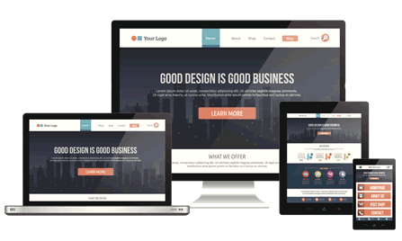 Brilliant and Quality Web Design| professional web designer